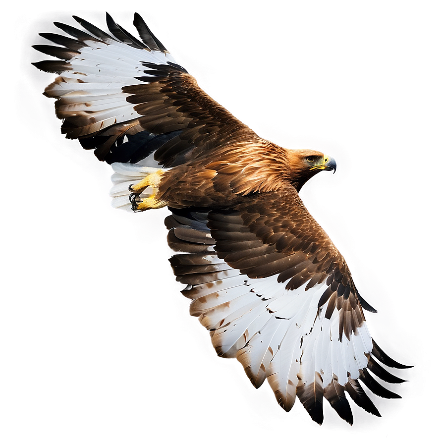 Golden Eagle In Snow Png 97 PNG