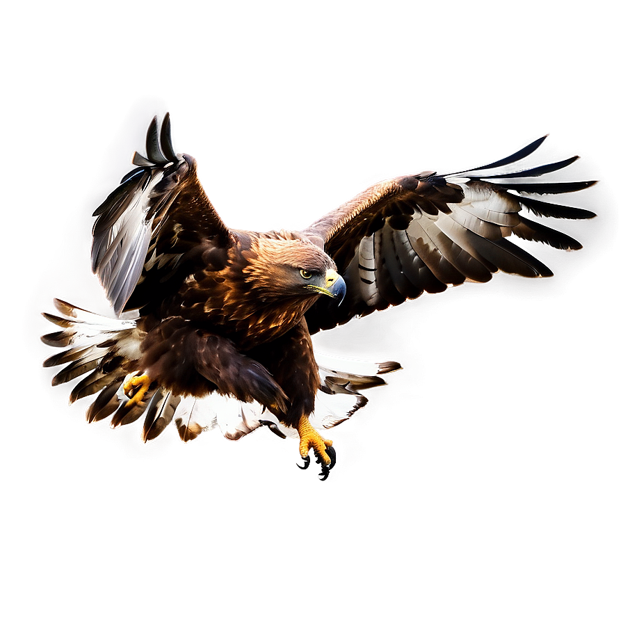 Golden Eagle Landing Png 23 PNG