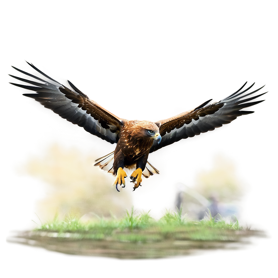 Golden Eagle Mid-flight Png Lgt PNG