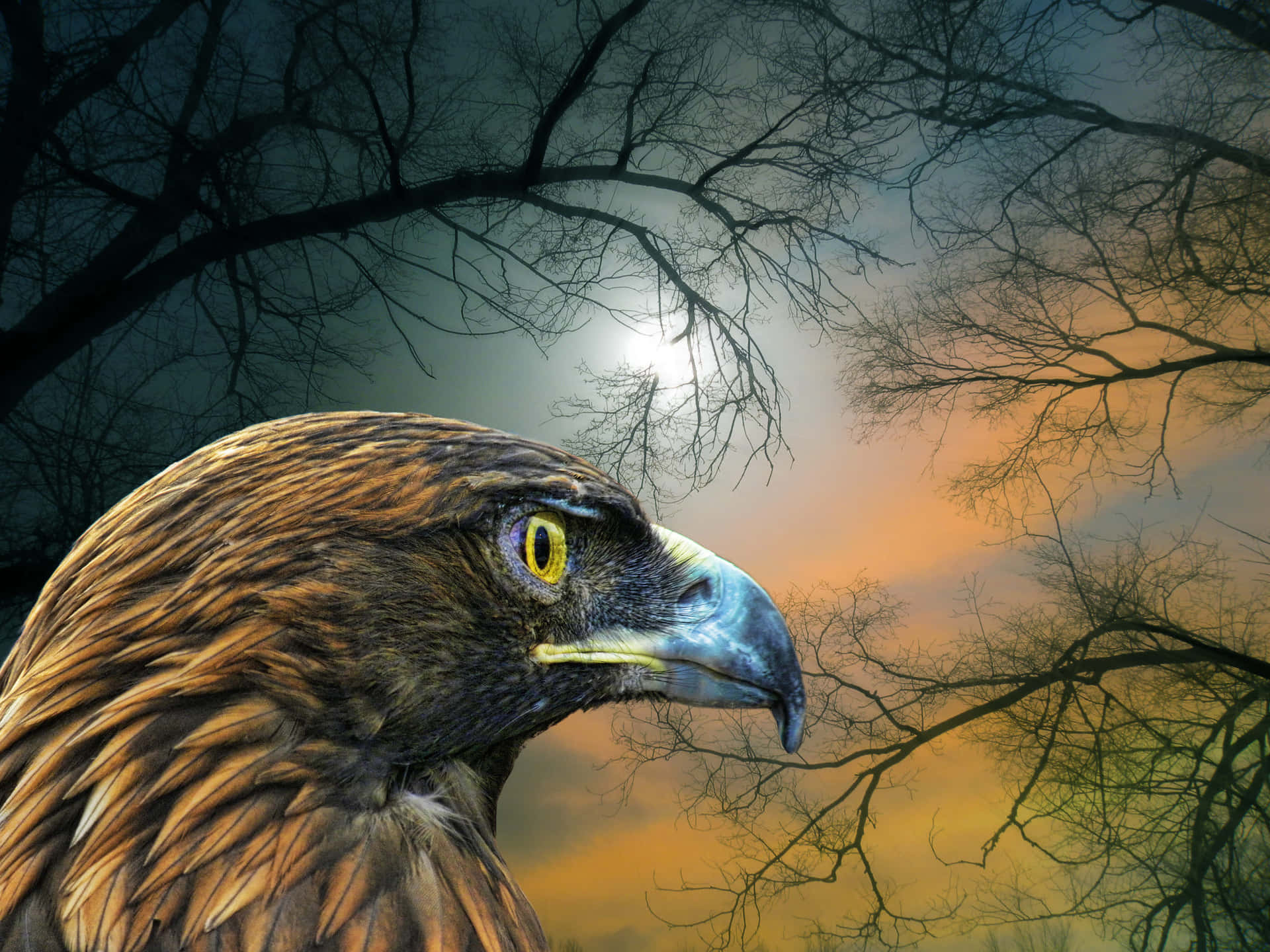 Dermajestätische Goldene Adler
