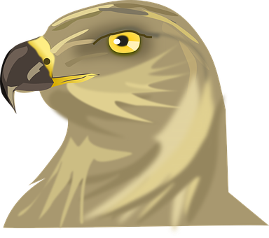 Golden Eagle Portrait Illustration PNG