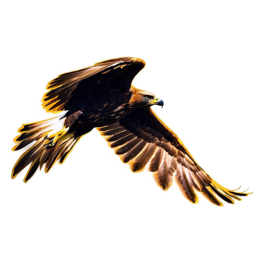 Golden Eagle Silhouette Png 06202024 PNG