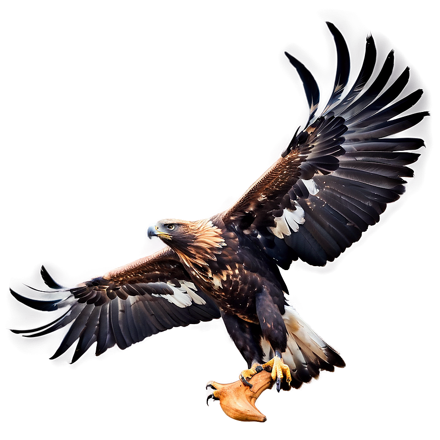 Golden Eagle Talons Outstretched Png 7 PNG