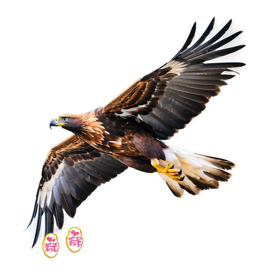 Golden Eagle Talons Outstretched Png Lhn23 PNG