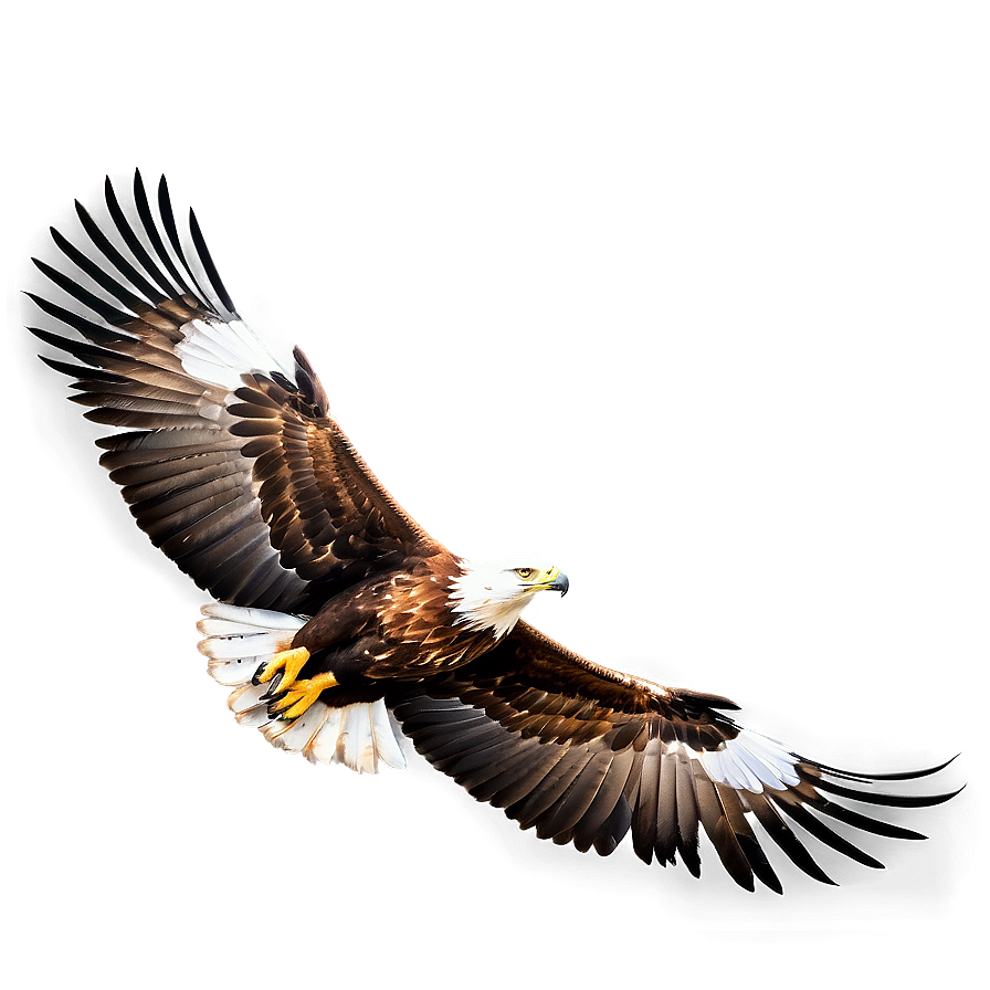 Golden Eagle Wings Spread Png Ndo79 PNG