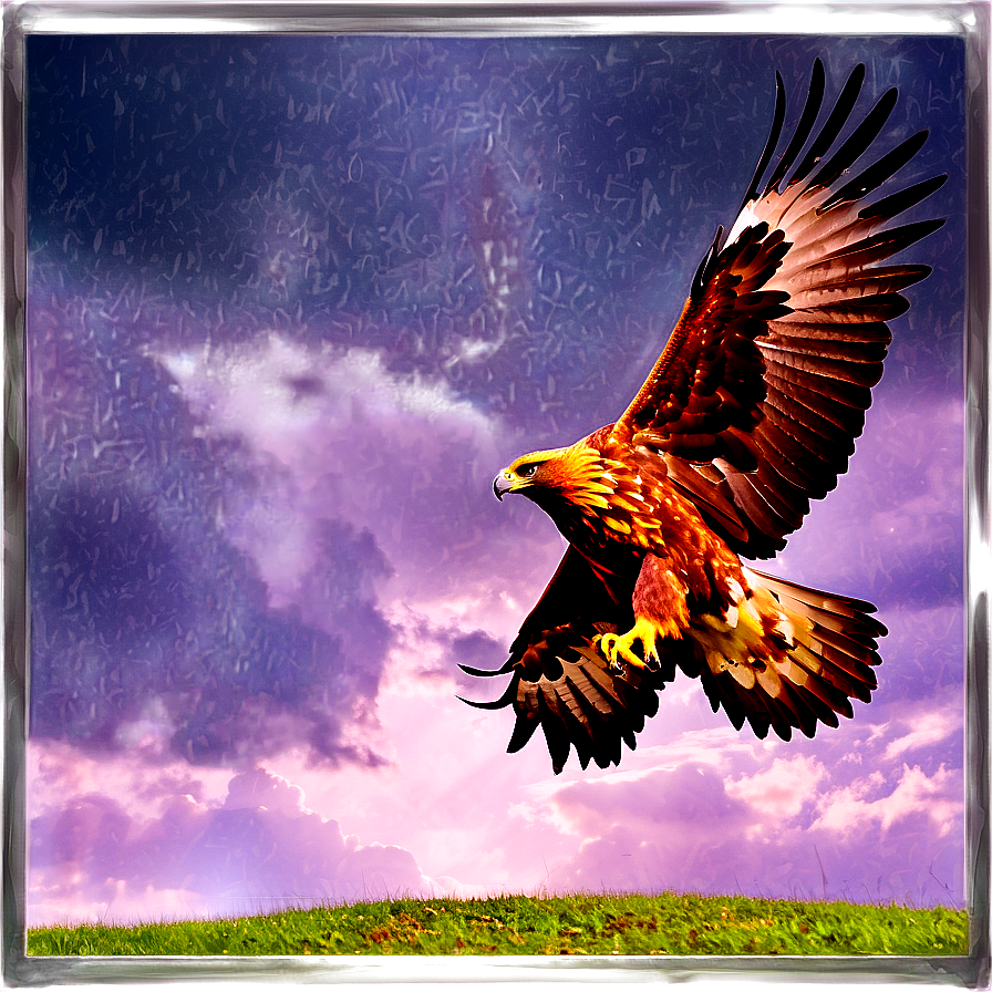 Golden Eagle With Dramatic Sky Png 25 PNG