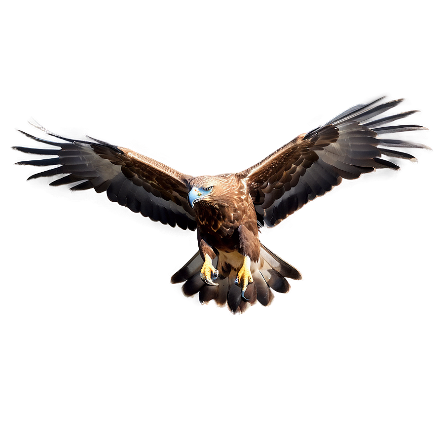 Golden Eagle With Open Beak Png Yog PNG