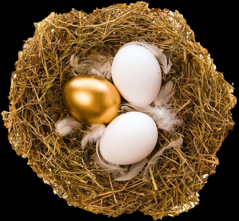 Golden Eggin Nest.jpg PNG