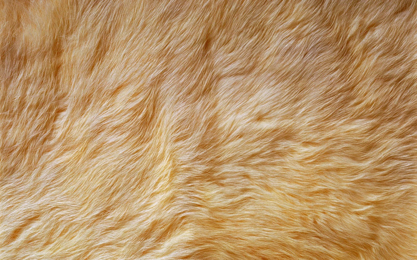 Golden Faux Fur Texture Wallpaper