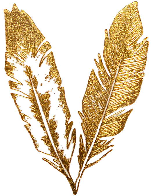 Golden Feather Artwork PNG