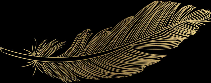 Golden Feather Black Background PNG
