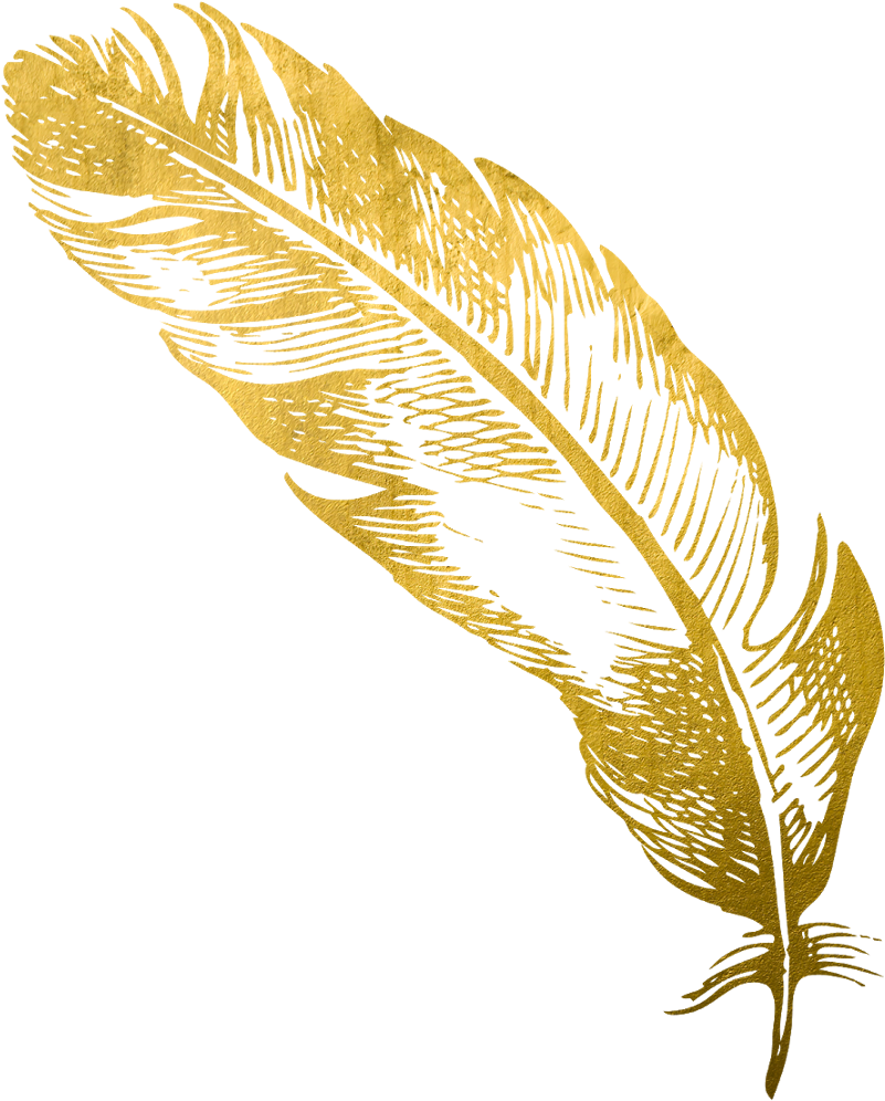 Golden Feather Pen Illustration PNG