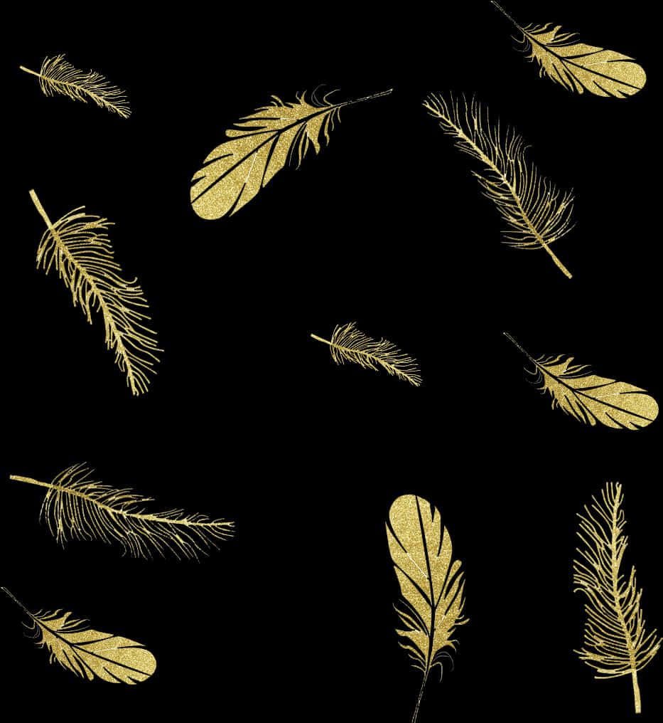 Golden Feathers Black Background PNG