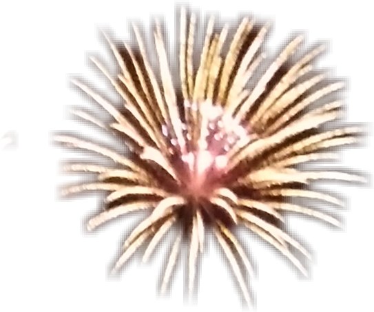 Golden Firework Explosion Night Sky PNG
