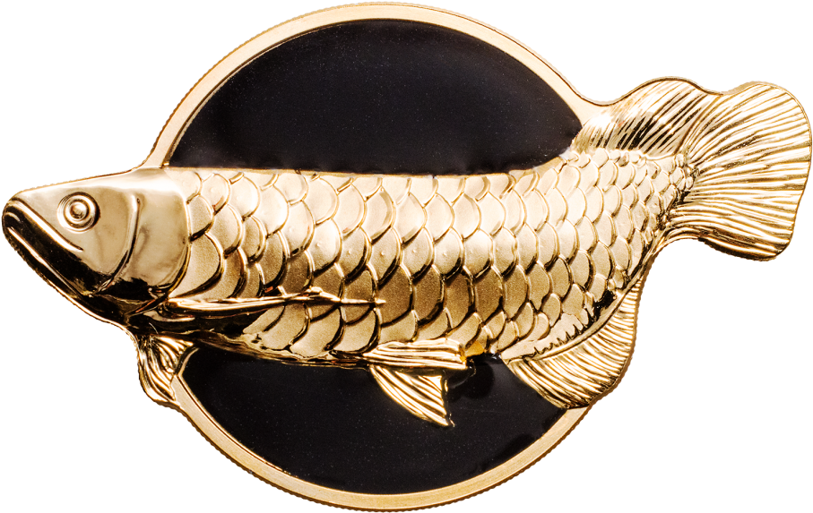 Golden Fishon Black Background PNG