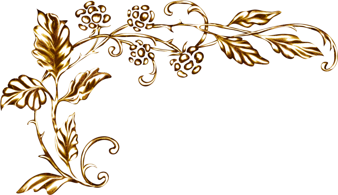 Golden Floral Corner Design PNG