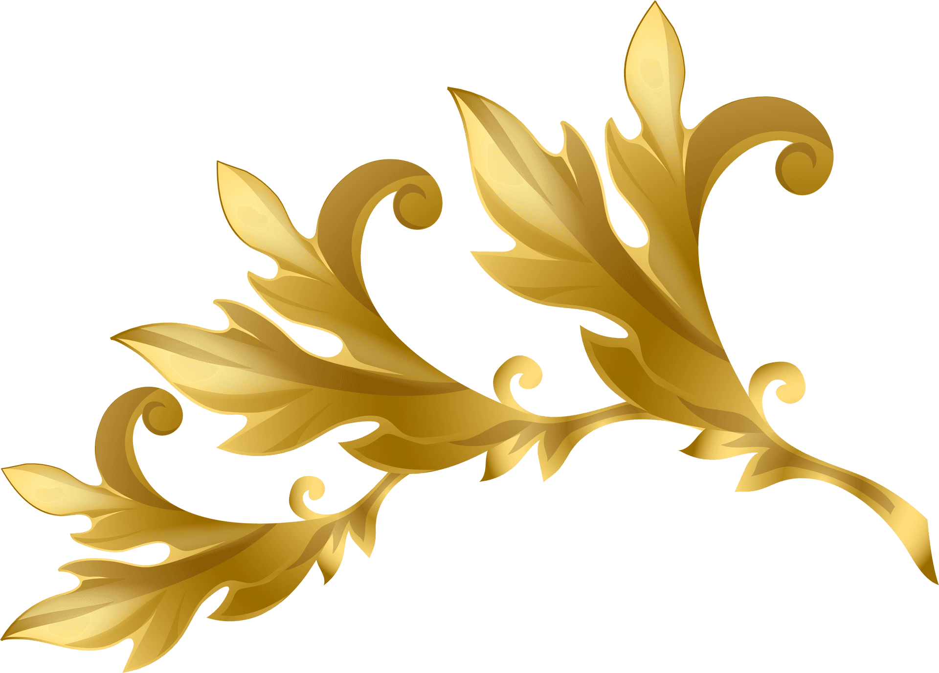 Golden Floral Decoration Graphic PNG