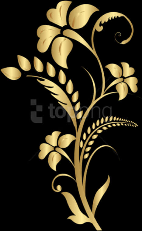 Golden Floral Designon Black PNG