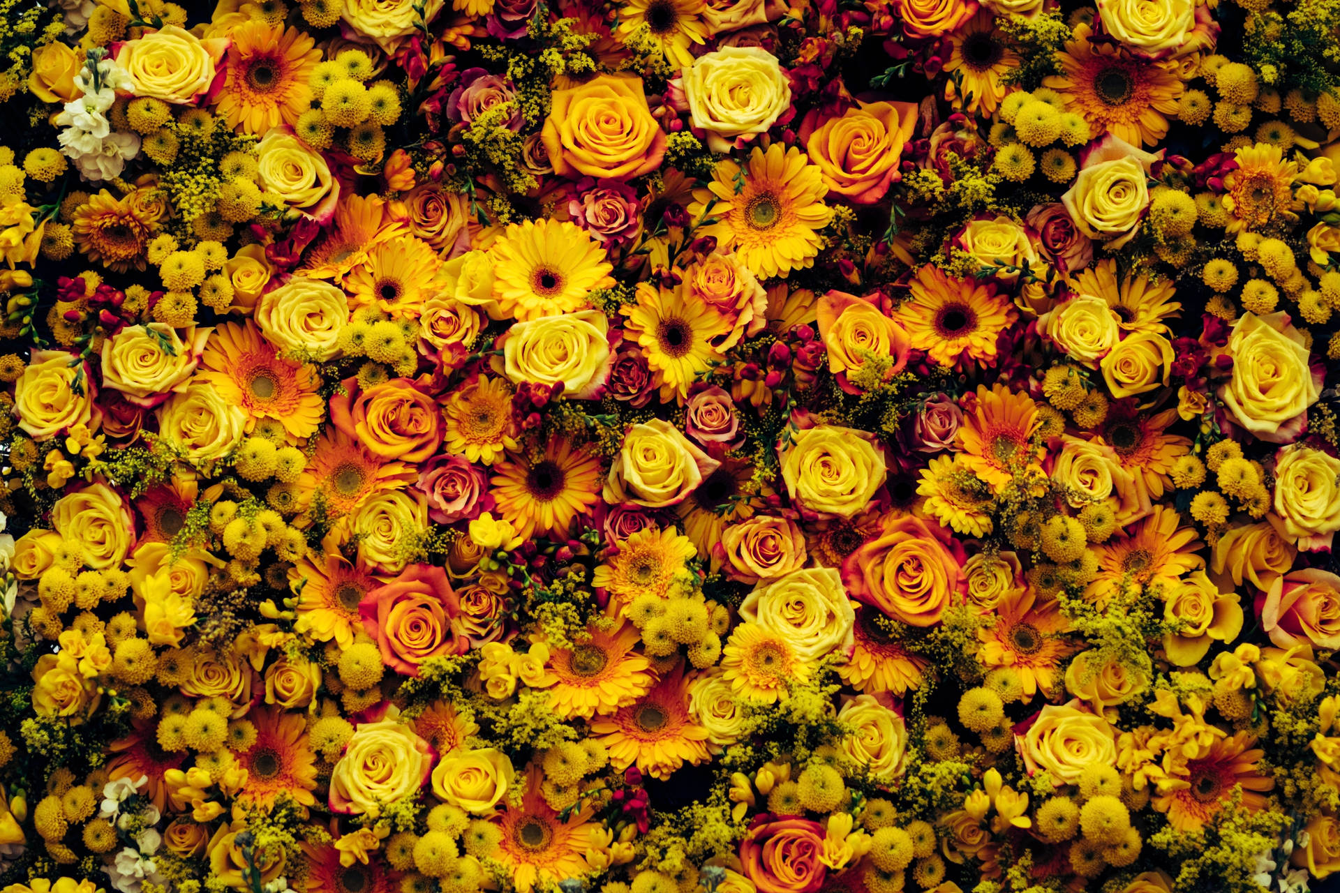 Golden Floral Party Background