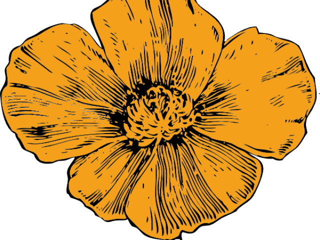 Golden Flower Illustration.png PNG