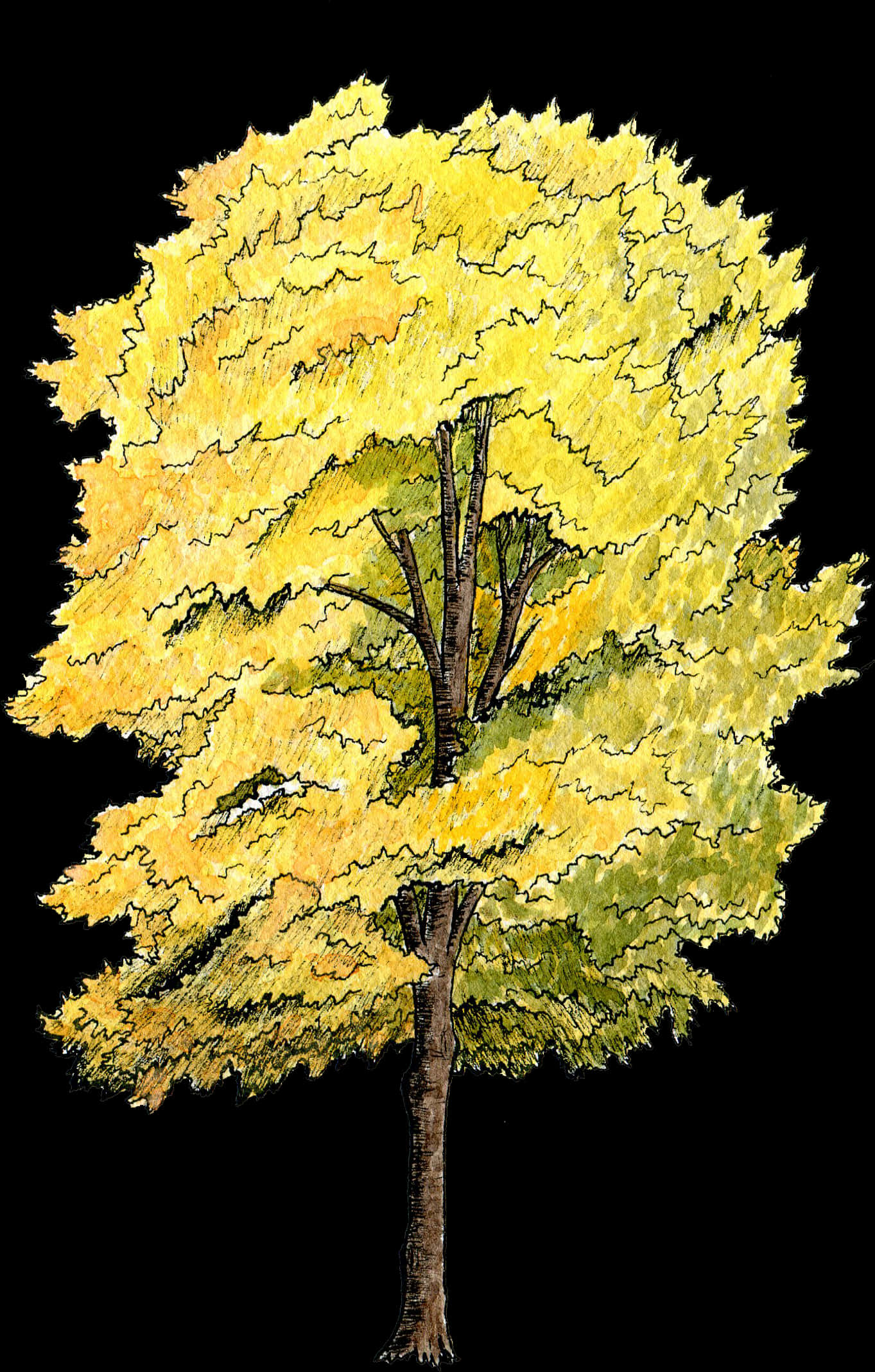 Golden Foliage Tree Illustration PNG