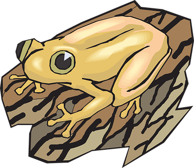 Golden Frog Illustration PNG