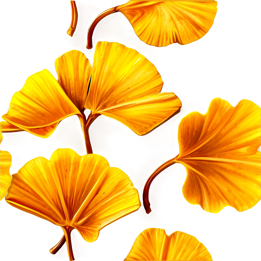 Golden Ginkgo Leaves Png Fow PNG