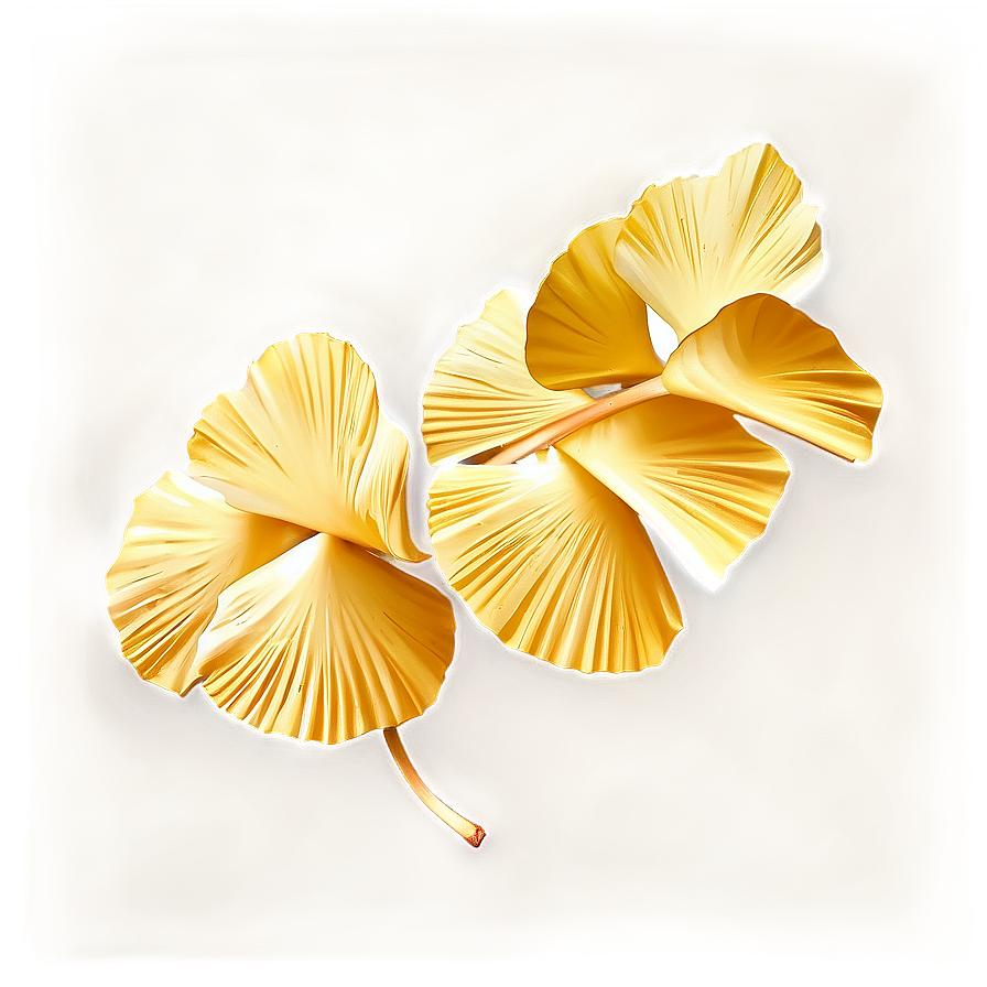 Golden Ginkgo Leaves Png Tbe PNG
