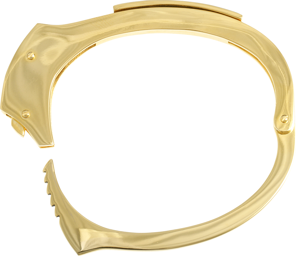 Golden Handcuff Single Open PNG