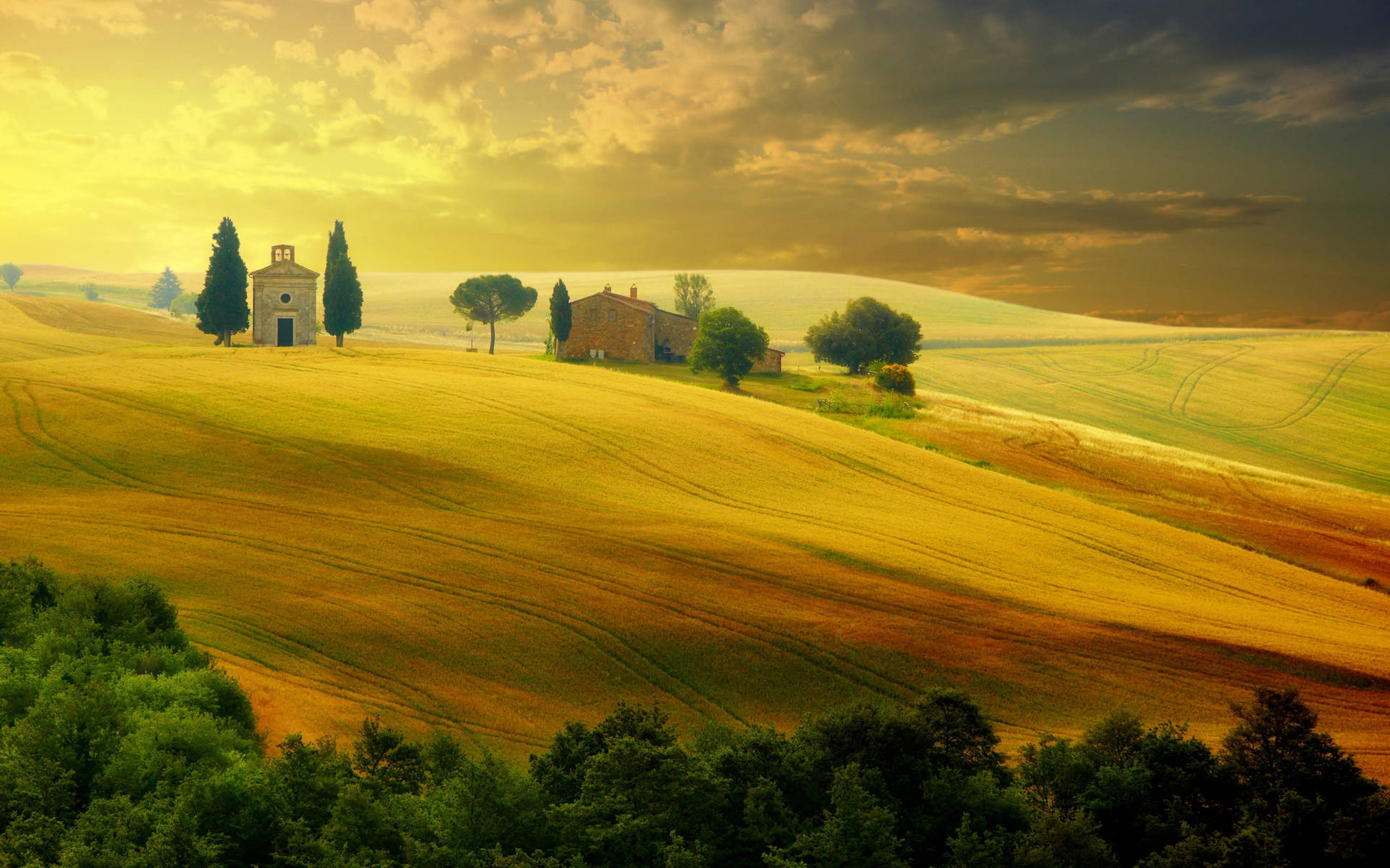 Golden Hills In Tuscany Italy Wallpaper
