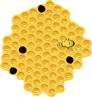 Golden Honeycombwith Bee PNG