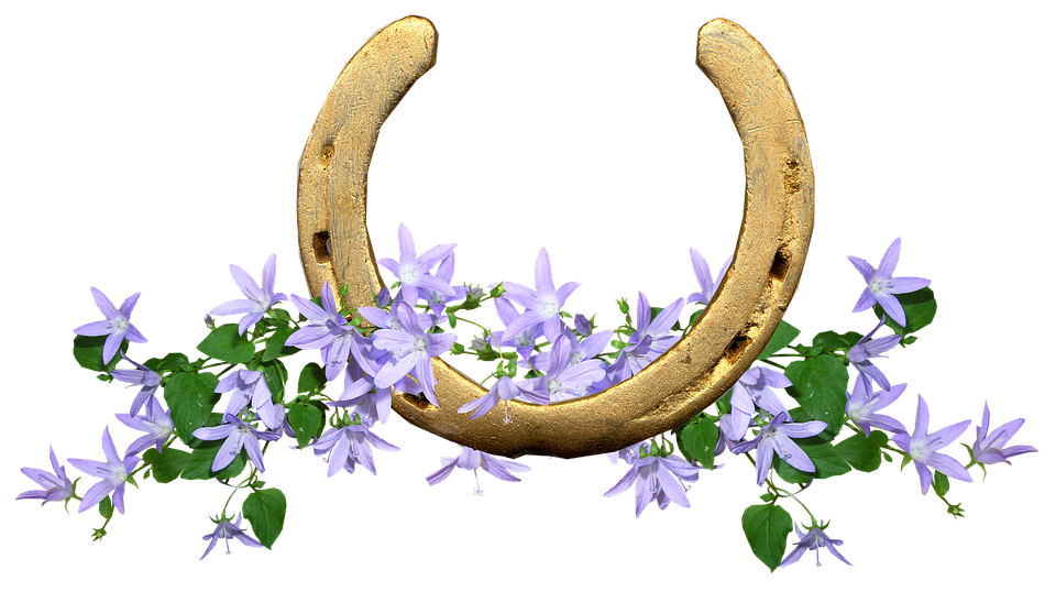 Golden Horseshoewith Purple Flowers PNG