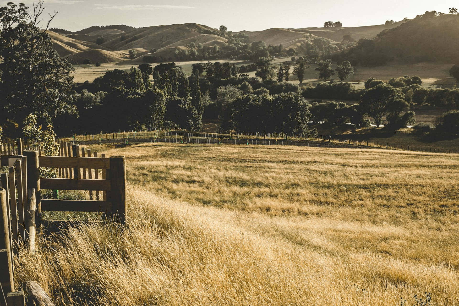 Golden Hour Countryside Landscape Wallpaper