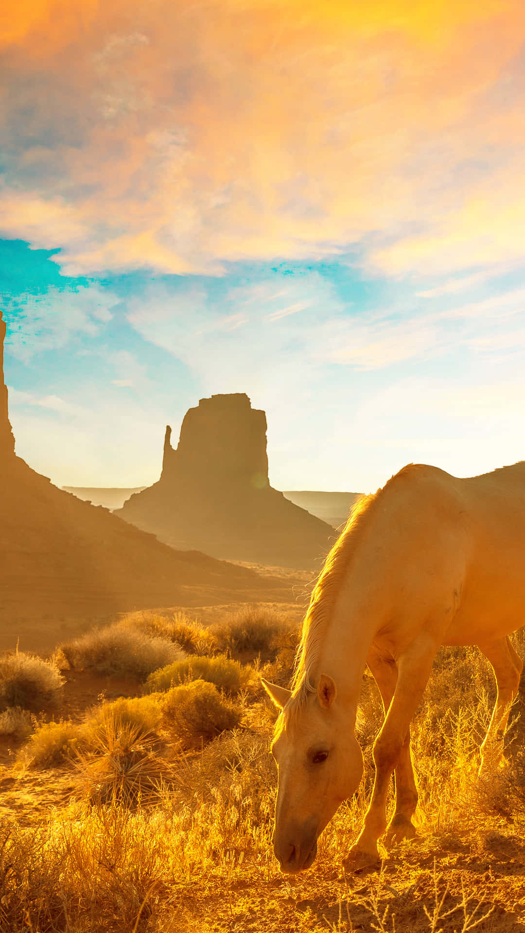 Golden Hour Horsein Desert Landscape.jpg Wallpaper