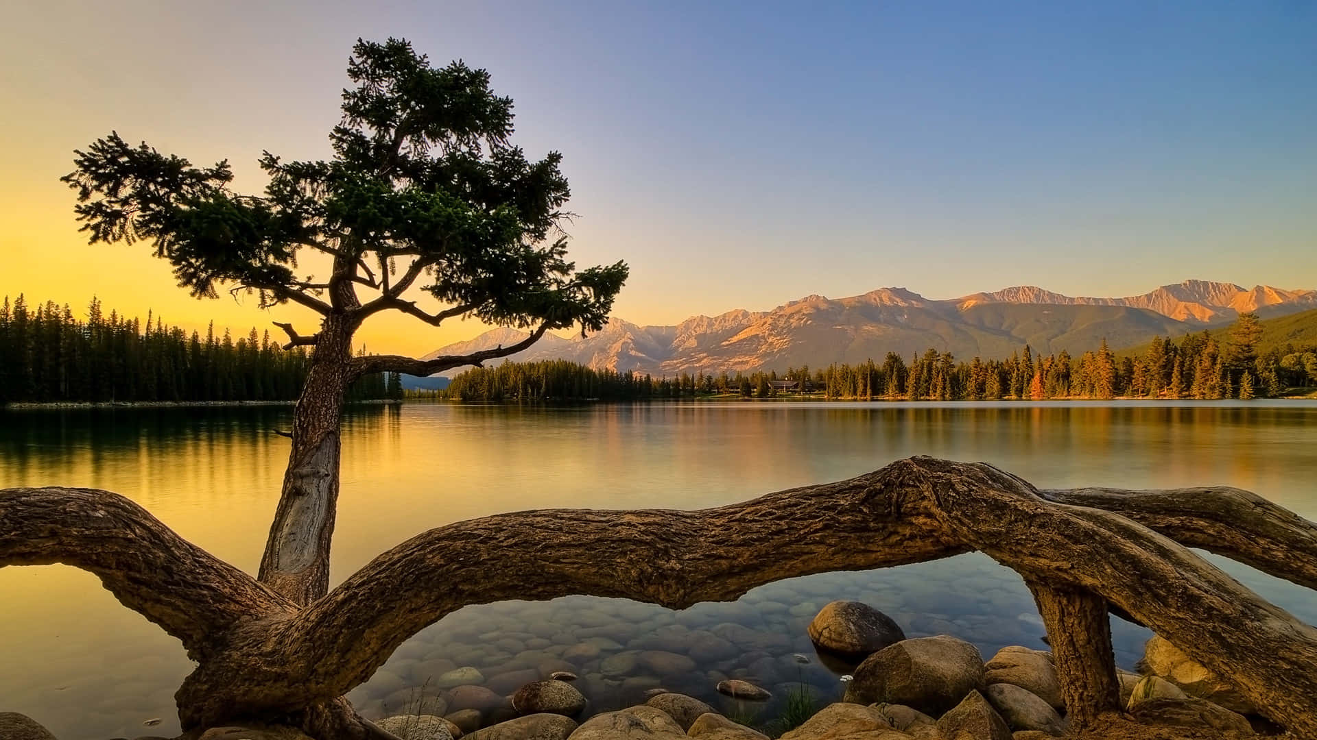 Golden Hour Lakeside Serenity.jpg Wallpaper