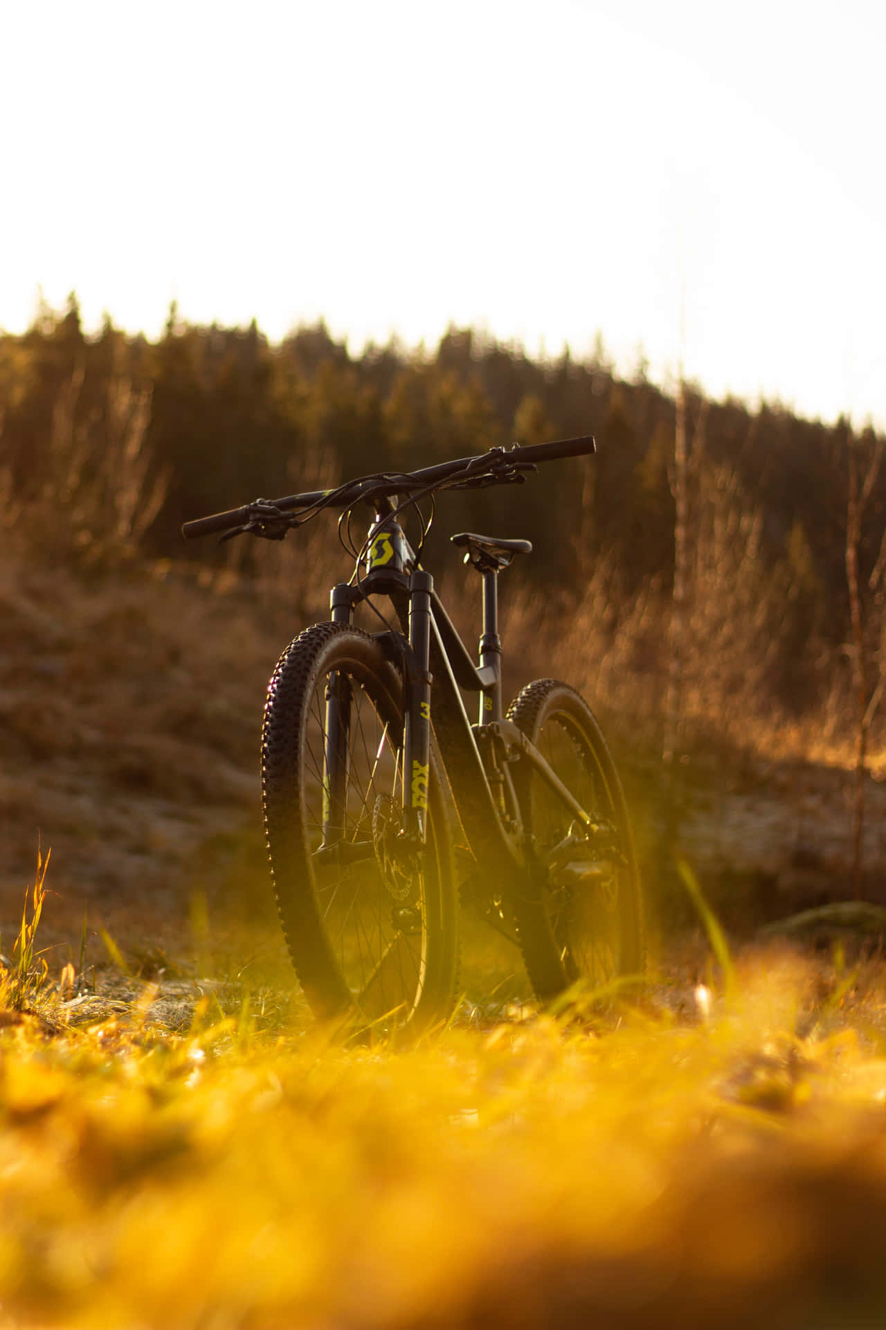 Gouden Uur Mountainbike Achtergrond