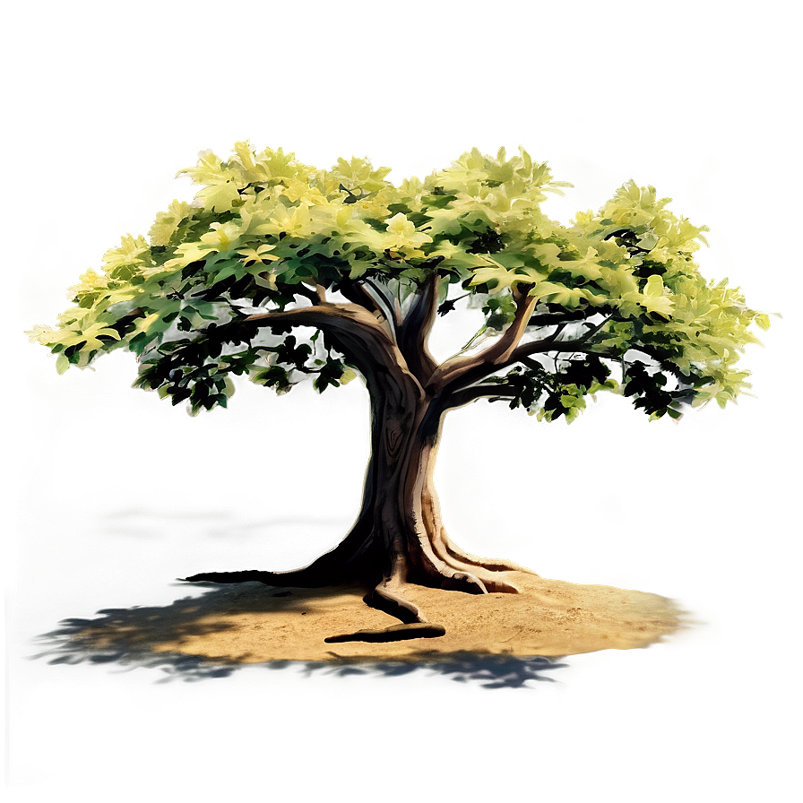 Golden Hour Tree Shadow Png Kej PNG