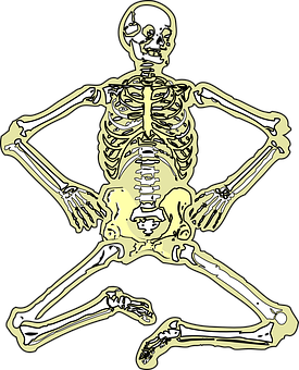 Golden Human Skeleton Illustration PNG