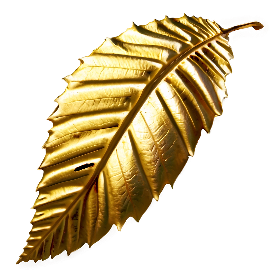Golden Leaf Png 18 PNG