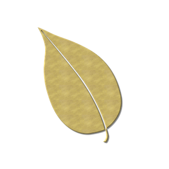 Golden Leafon Black Background PNG