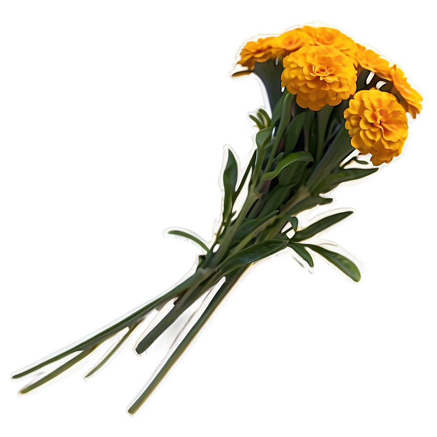 Golden Marigolds Bouquet Png 06132024 PNG