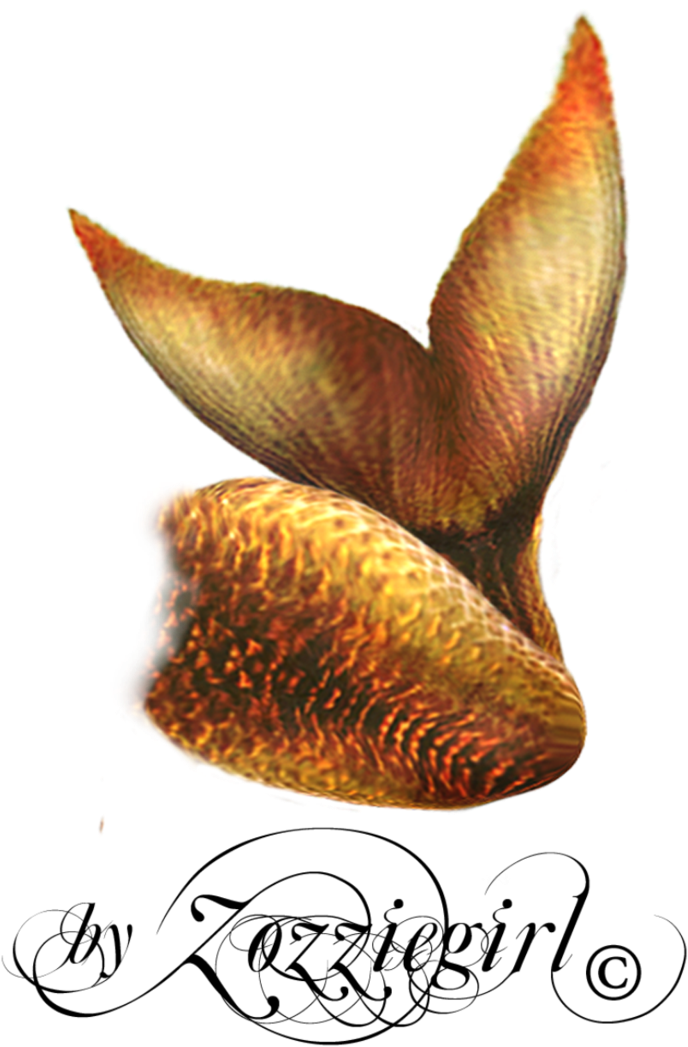 Golden Mermaid Tail Illustration PNG