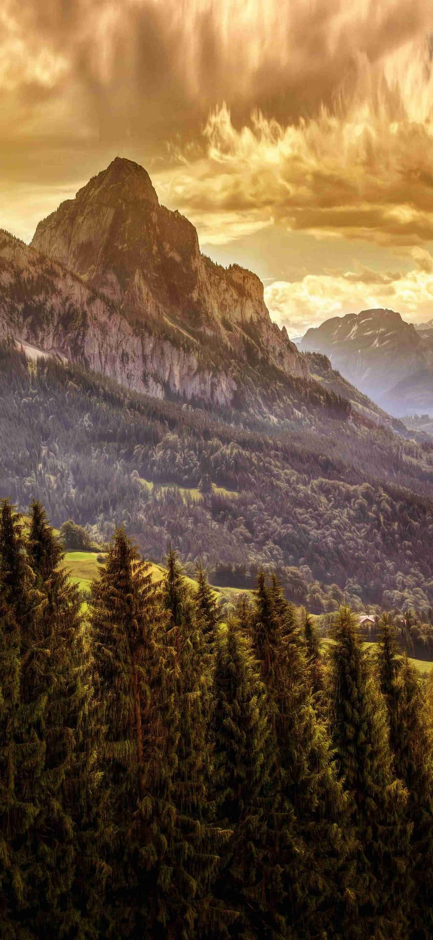 Golden Mountain Sunset Landscape Wallpaper