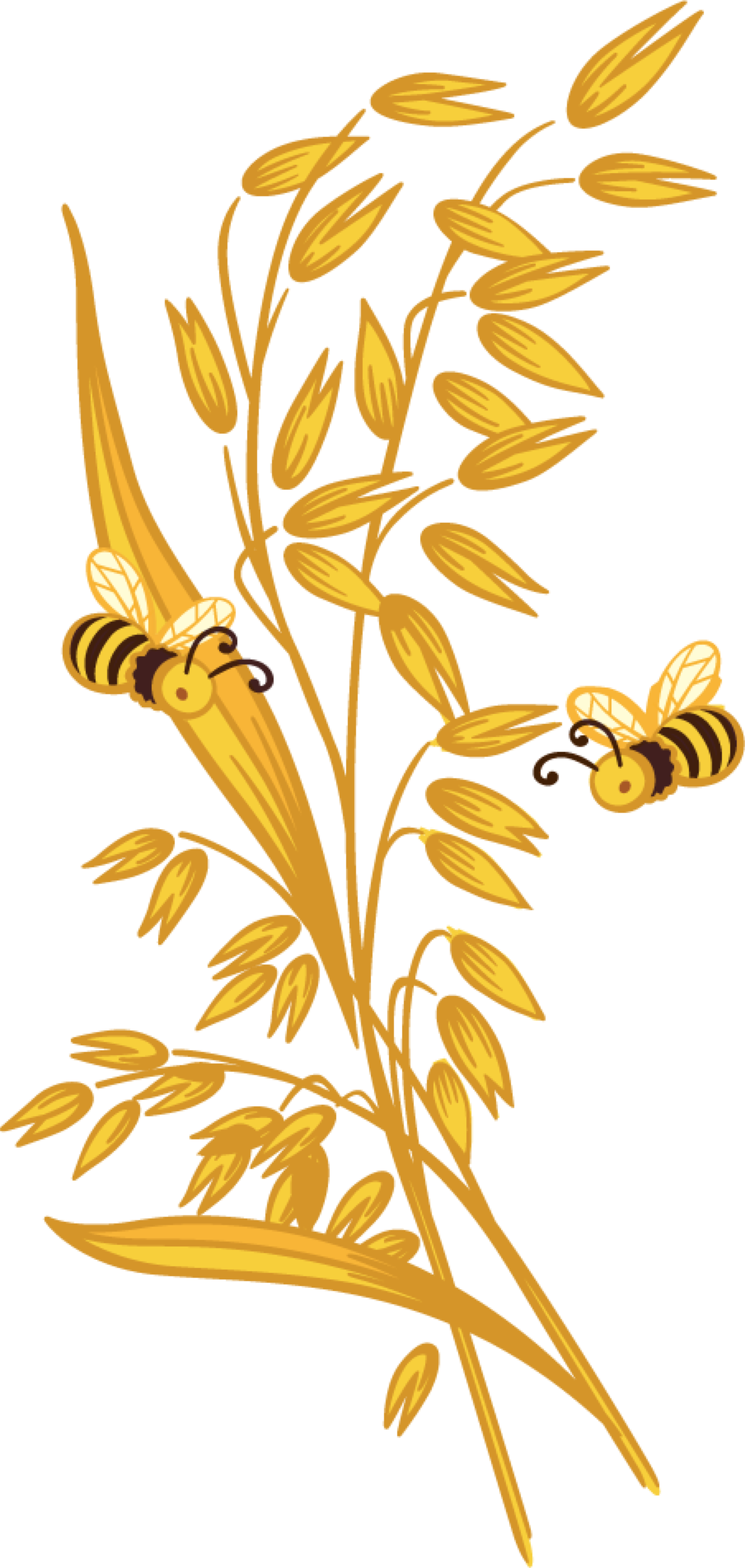 Golden Oatsand Bees Illustration PNG