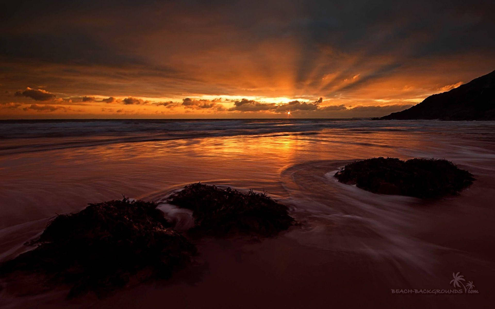 Golden Ocean Sunset Beach Wallpaper