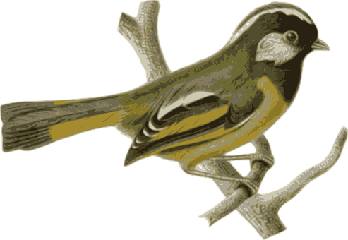 Golden Olive Bird Illustration PNG