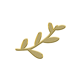 Golden Olive Branch Icon PNG