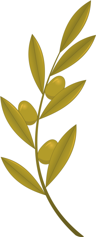 Golden Olive Branch Illustration PNG