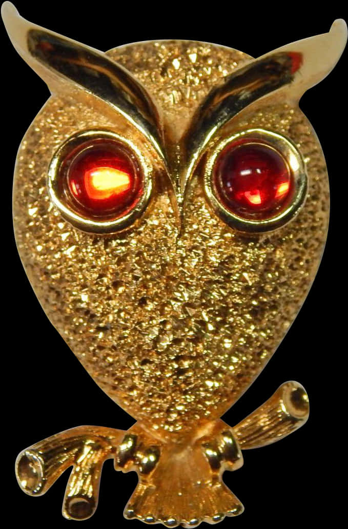 Golden Owl Broochwith Red Eyes PNG