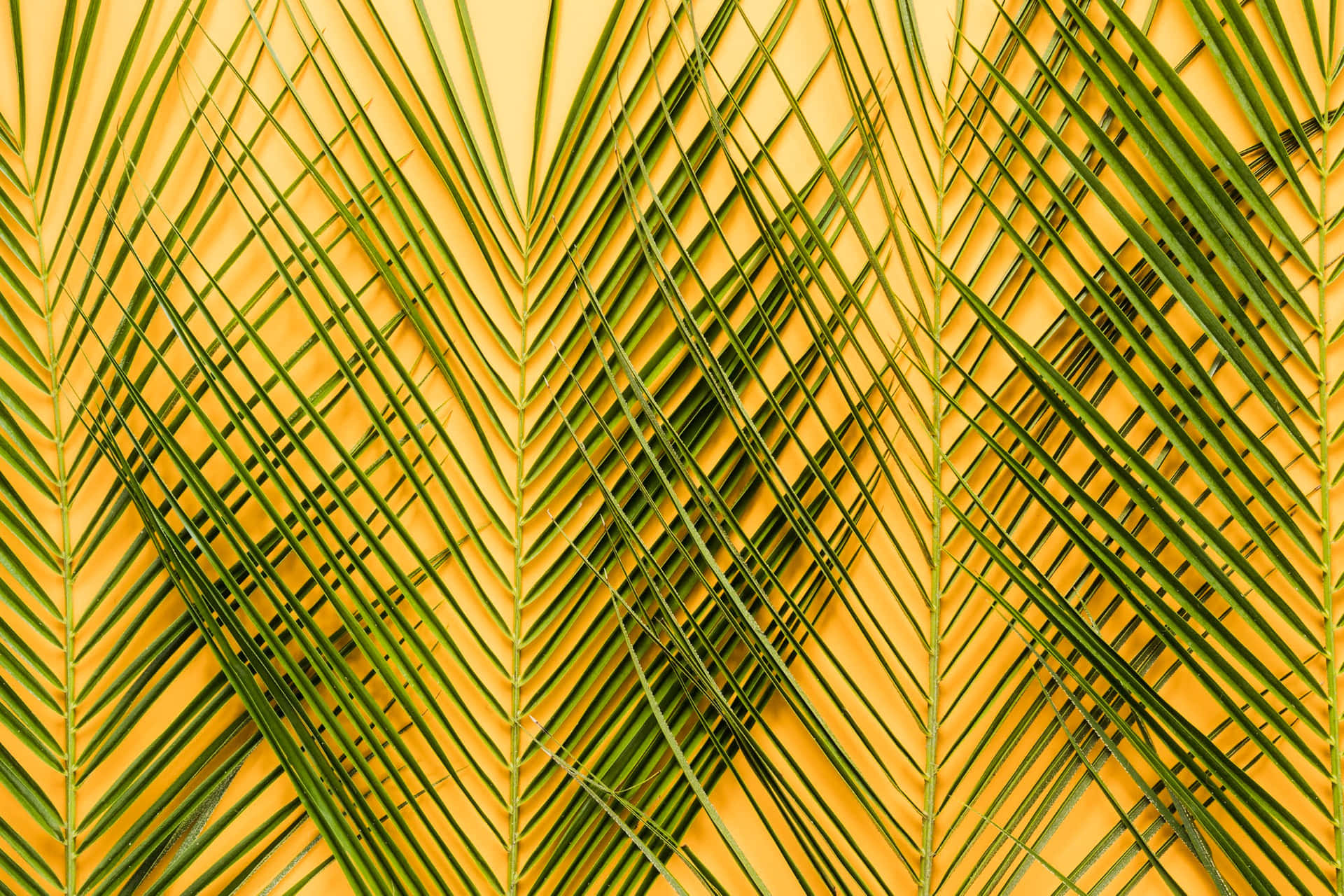 Golden Palm Frond Pattern.jpg Wallpaper